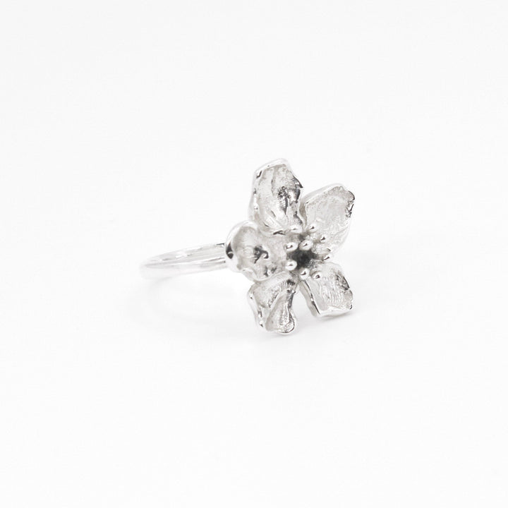 Lola Ring - ANTARES - Ring