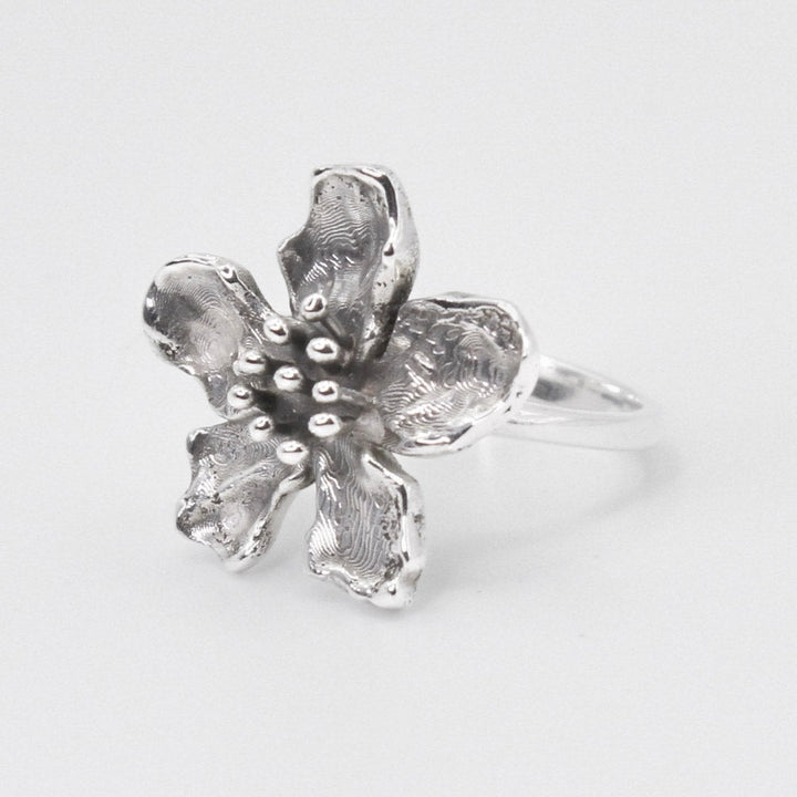 Lola Ring - ANTARES - Ring